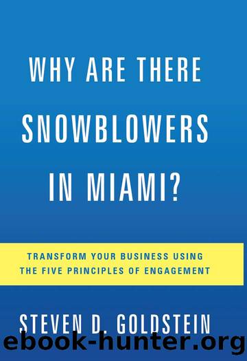 Why Are There Snowblowers in Miami? by Steven D. Goldstein