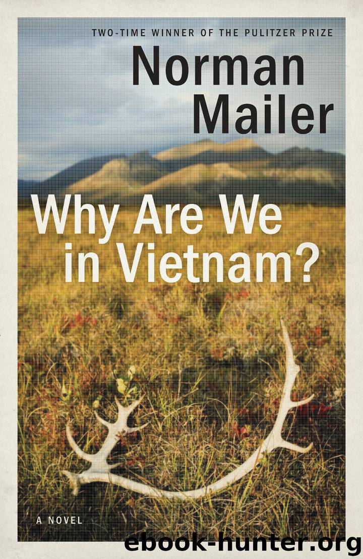 Why Are We in Vietnam? by Norman Mailer