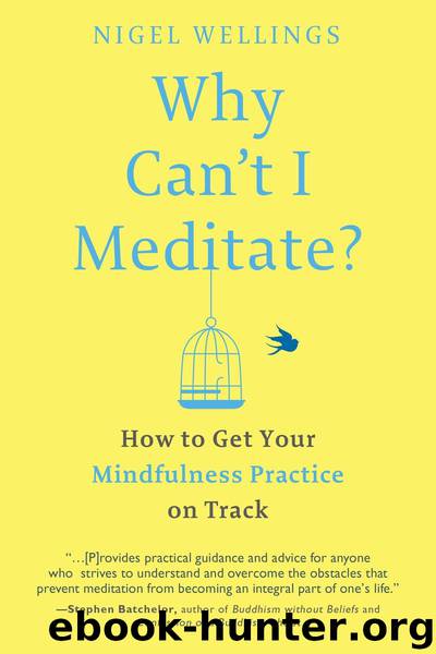 Why Can't I Meditate?: How to Get Your Mindfulness Practice on Track by Nigel Wellings