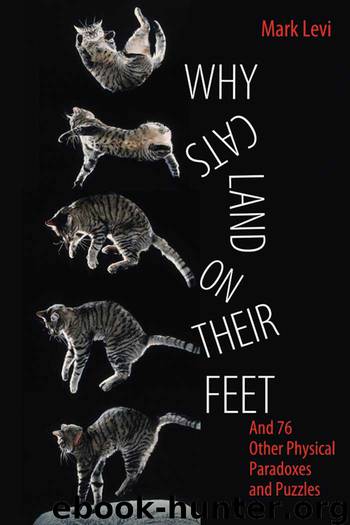 Why Cats Land on Their Feet by Levi Mark