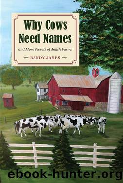 Why Cows Need Names by Randy James