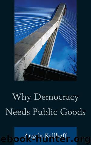 Why Democracy Needs Public Goods by Kallhoff Angela;