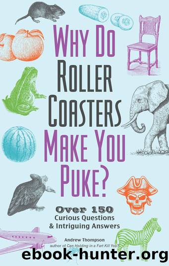 Why Do Roller Coasters Make You Puke? by Andrew Thompson