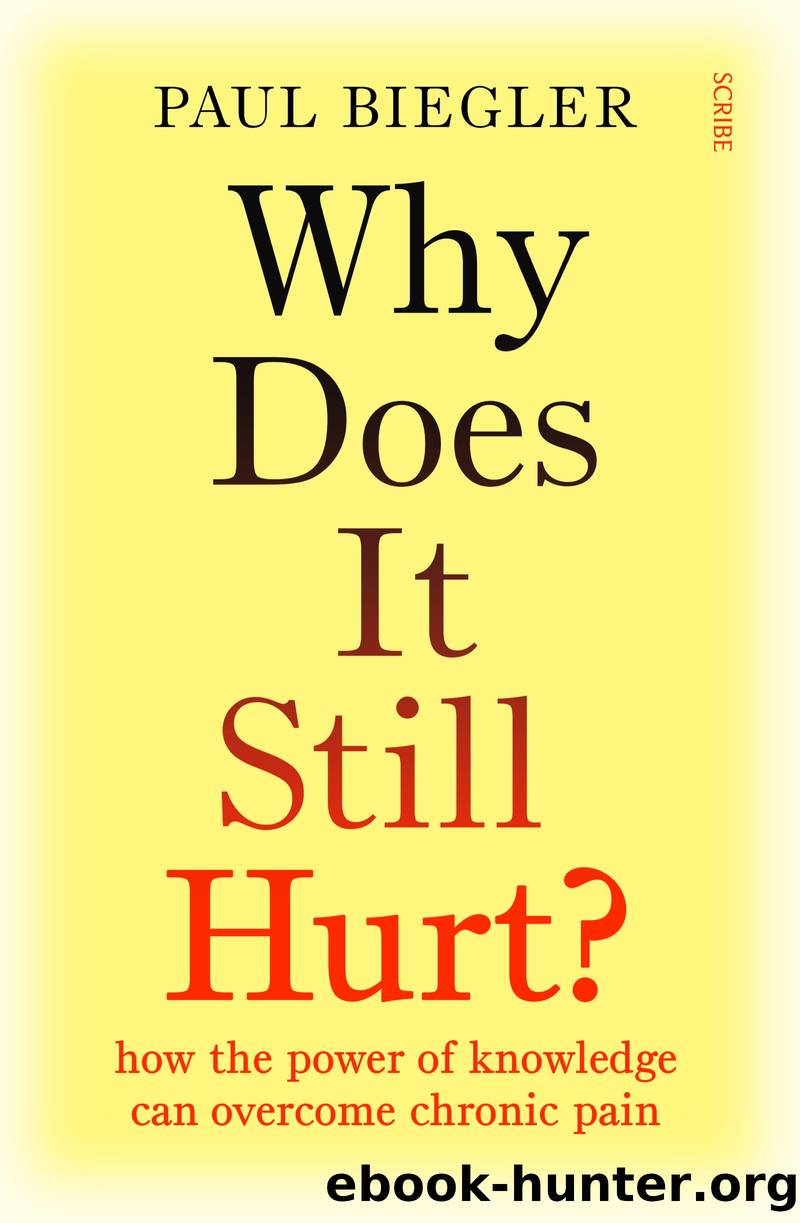 Why Does It Still Hurt? by Paul Biegler