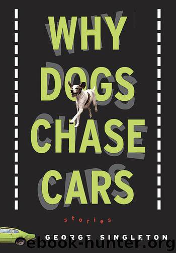 Why Dogs Chase Cars by George Singleton