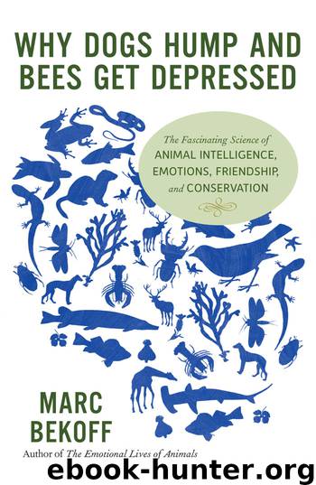 Why Dogs Hump and Bees Get Depressed by Marc Bekoff