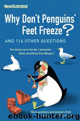 Why Don't Penguins' Feet Freeze? by New Scientist