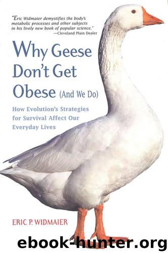 Why Geese Don't Get Obese (And We Do) by Eric P. Widmaier