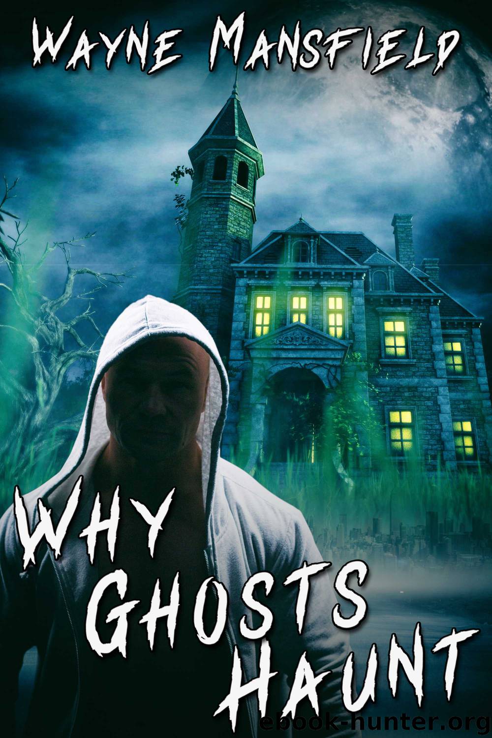 Why Ghosts Haunt by Wayne Mansfield