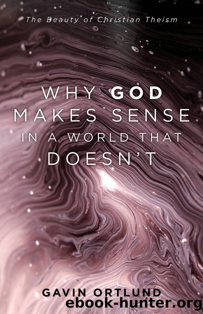 Why God Makes Sense in a World That Doesn't by Gavin Ortlund