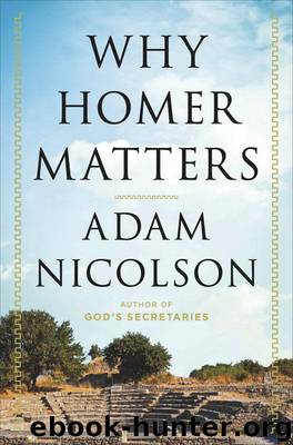 Why Homer Matters: A History by Nicolson Adam