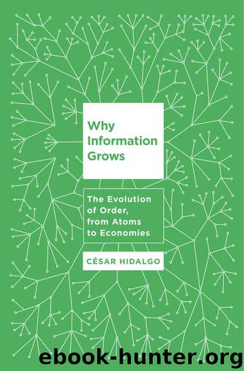 Why Information Grows: The Evolution of Order, from Atoms to Economies by Cesar Hidalgo