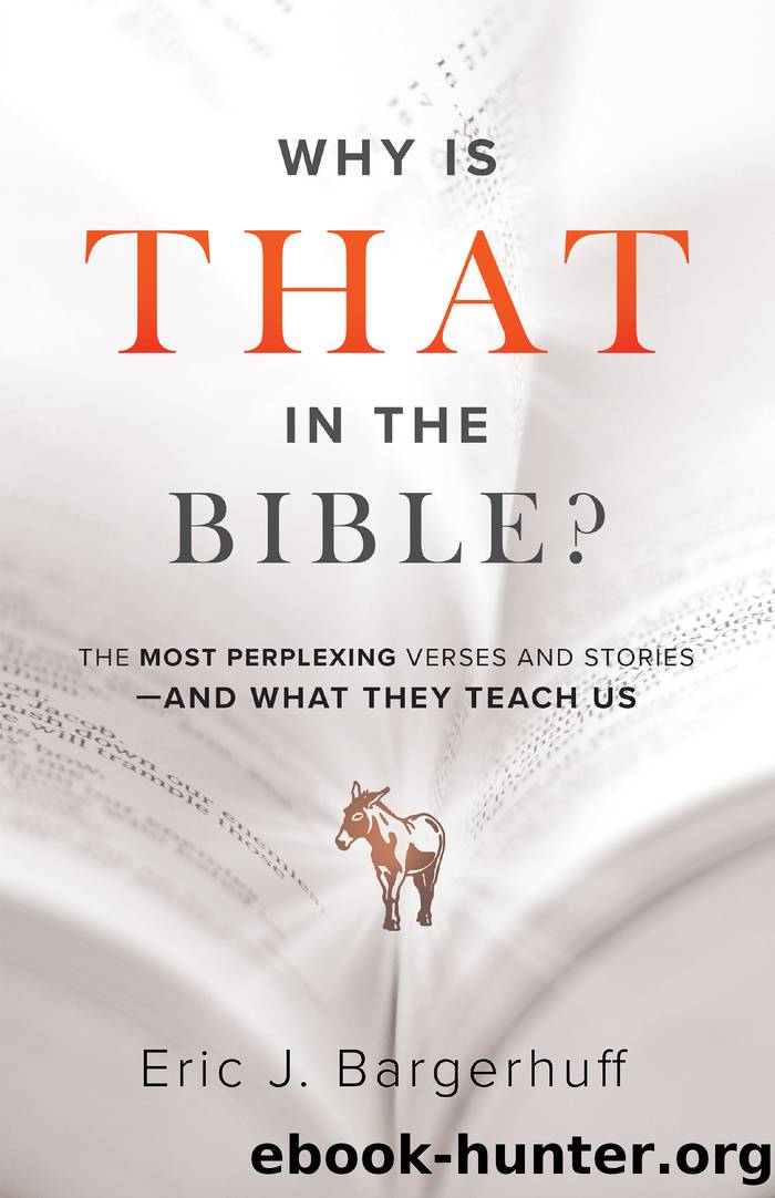 Why Is That in the Bible? by Eric J. Bargerhuff
