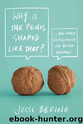 Why Is the Penis Shaped Like That? by Jesse Bering