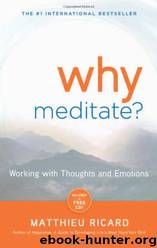 Why Meditate: Working With Thoughts and Emotions by Matthieu Ricard