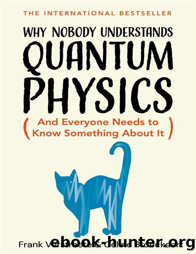 Why Nobody Understands Quantum Physics by Frank Verstraete & Céline Broeckaert