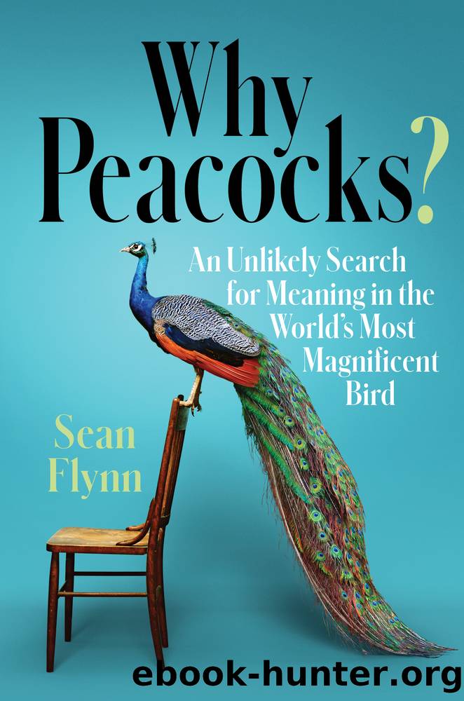 Why Peacocks? by Sean Flynn