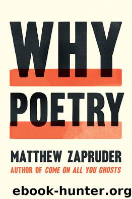 Why Poetry by Matthew Zapruder