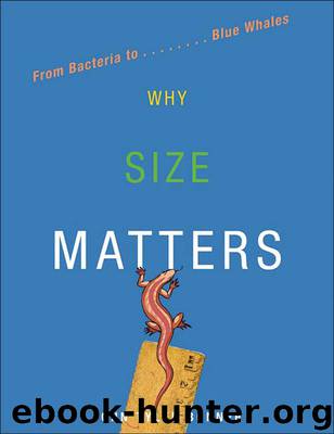 Why Size Matters by John Tyler Bonner