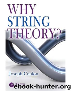Why String Theory? by Joseph Conlon
