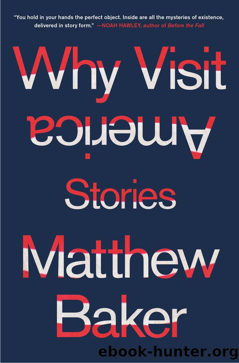 Why Visit America by Matthew Baker
