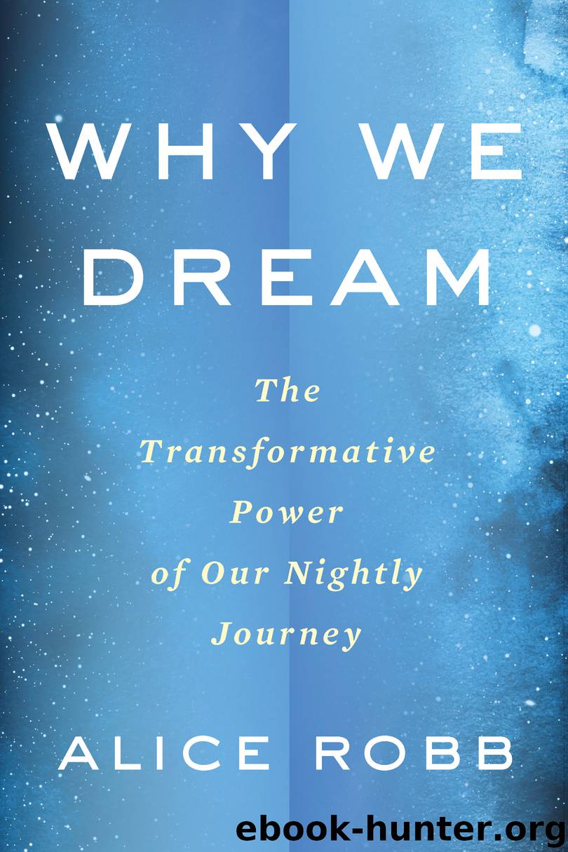 Why We Dream by Alice Robb