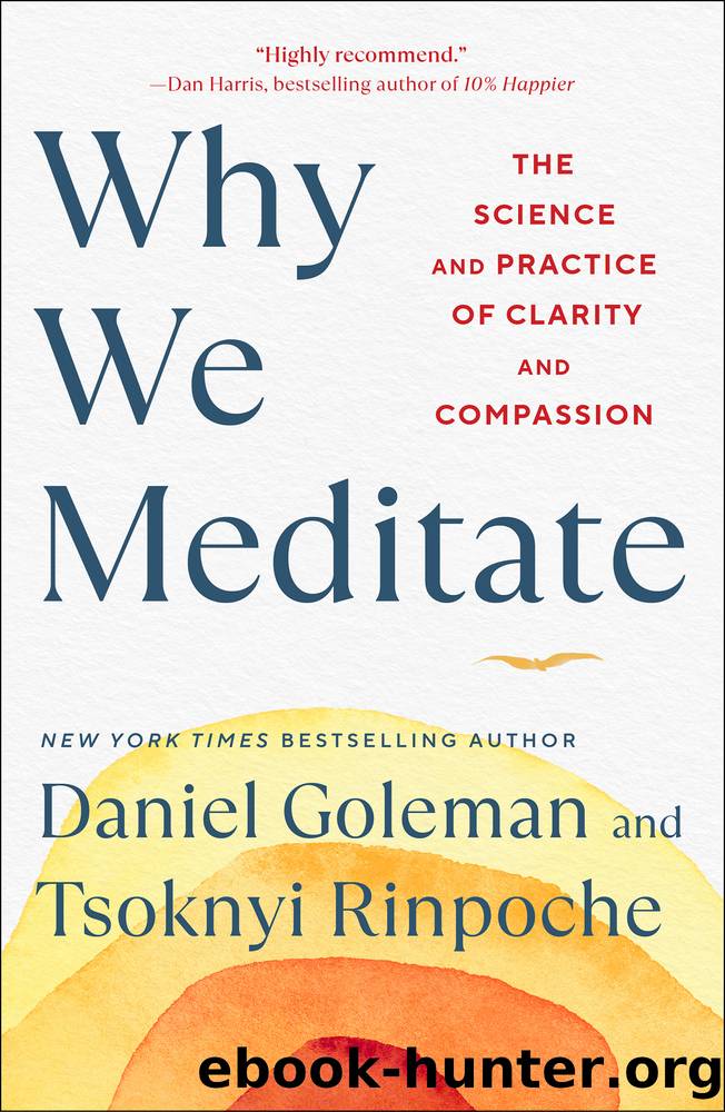 Why We Meditate by Daniel Goleman & Tsoknyi Rinpoche