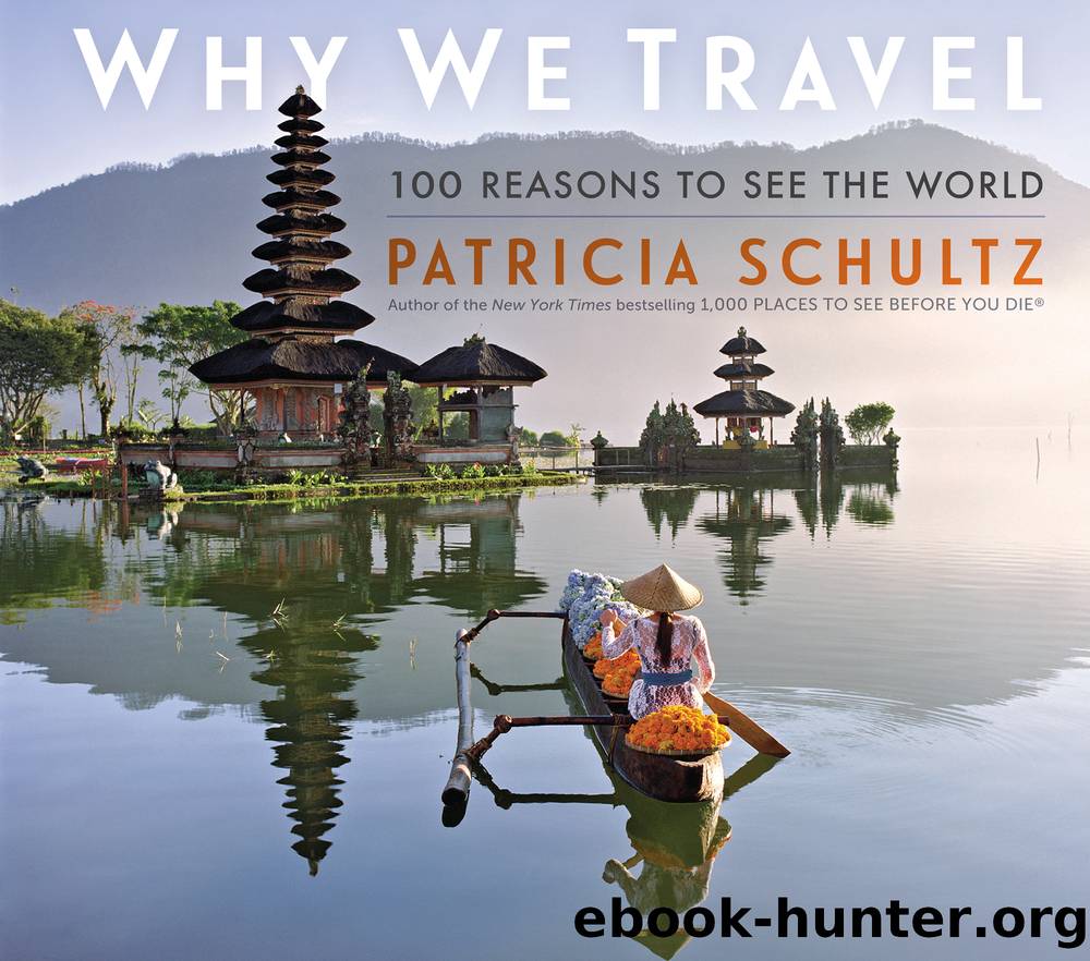 Why We Travel by Patricia Schultz