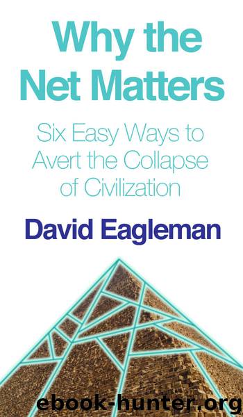 Why the Net Matters by David Eagleman