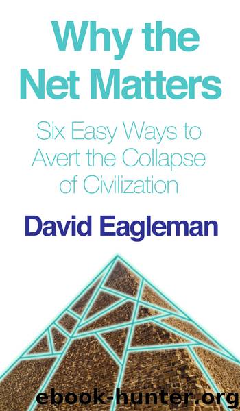 Why the Net Matters, or Six Easy Ways to Avert the Collapse of Civilization by David Eagleman
