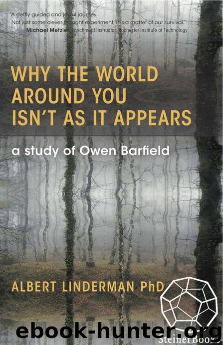 Why the World around You Isn't as It Appears by Albert Linderman