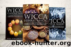 Wicca Magic Starter Kit: Candle Magic, Crystal Magic, and Herbal Magic by Lisa Chamberlain