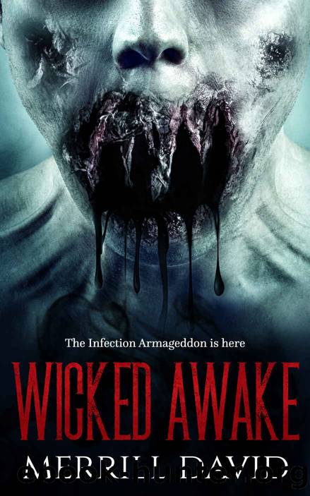 Wicked Awake by Merrill David