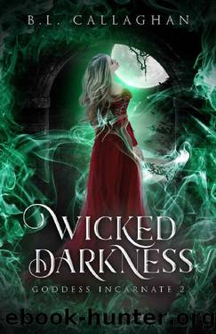 Wicked Darkness by B.L. Callaghan