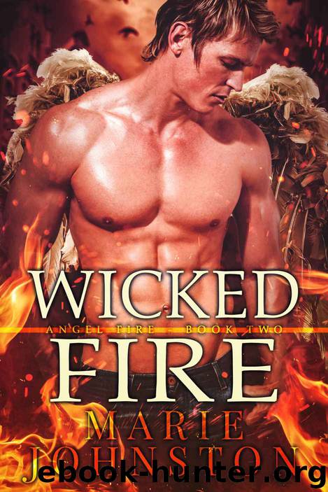 Wicked Fire: Angel Fire, book 2 by Johnston Marie