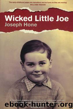 Wicked Little Joe by Joseph Hone