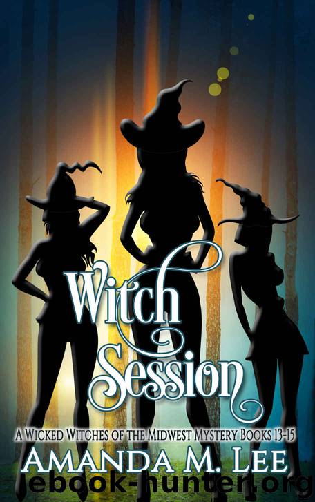 Wicked Witches of the Midwest Mystery Box Set by Amanda M Lee