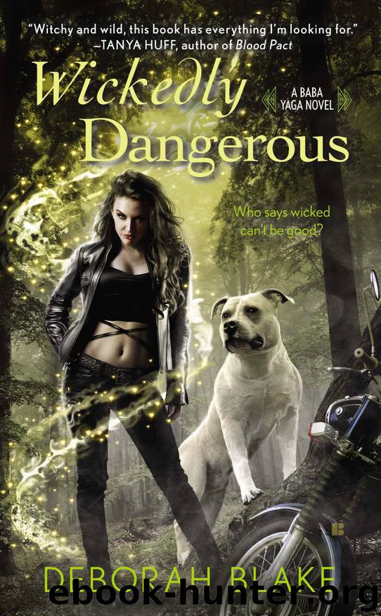Wickedly Dangerous by Deborah Blake