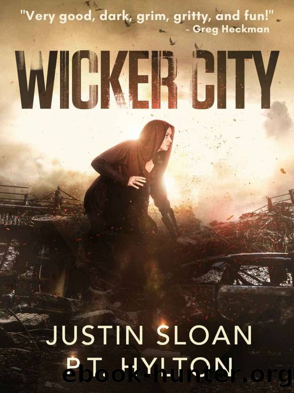 Wicker City by Justin Sloan & P.T. Hylton