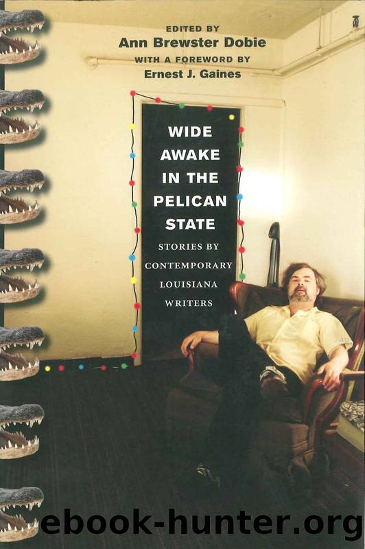 Wide Awake in the Pelican State by Ann Brewster Dobie