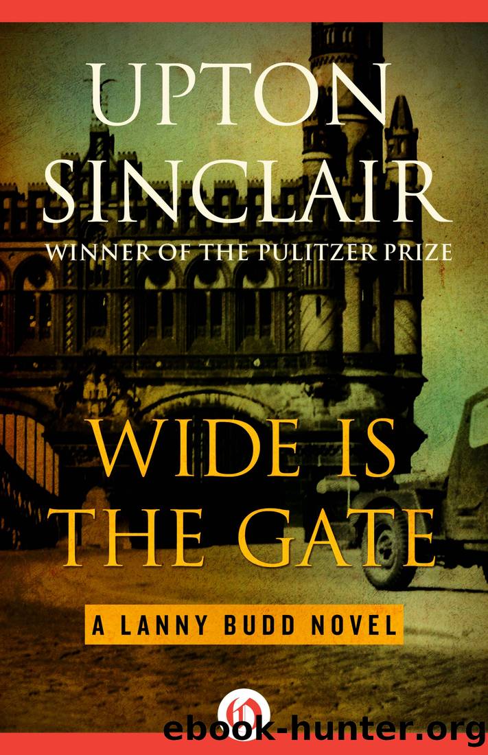 Wide Is the Gate by Sinclair Upton