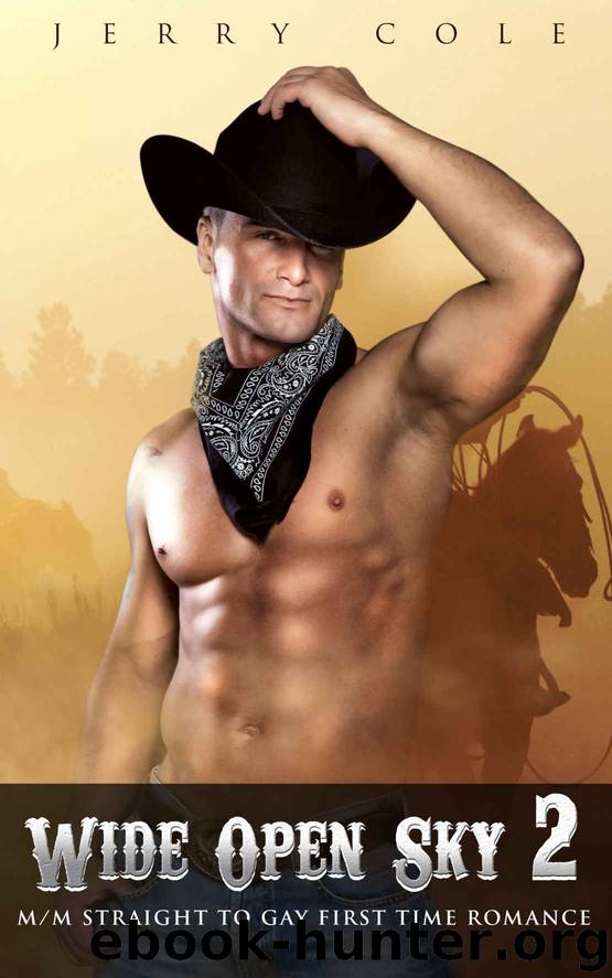 Wide Open Sky 2: MM Western Straight to Gay First Time Romance (Sam & Chris Series) by Jerry Cole