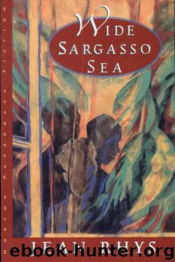 jean rhys wide sargasso sea audiobook download jean rhys wide sargasso sea audiobook download