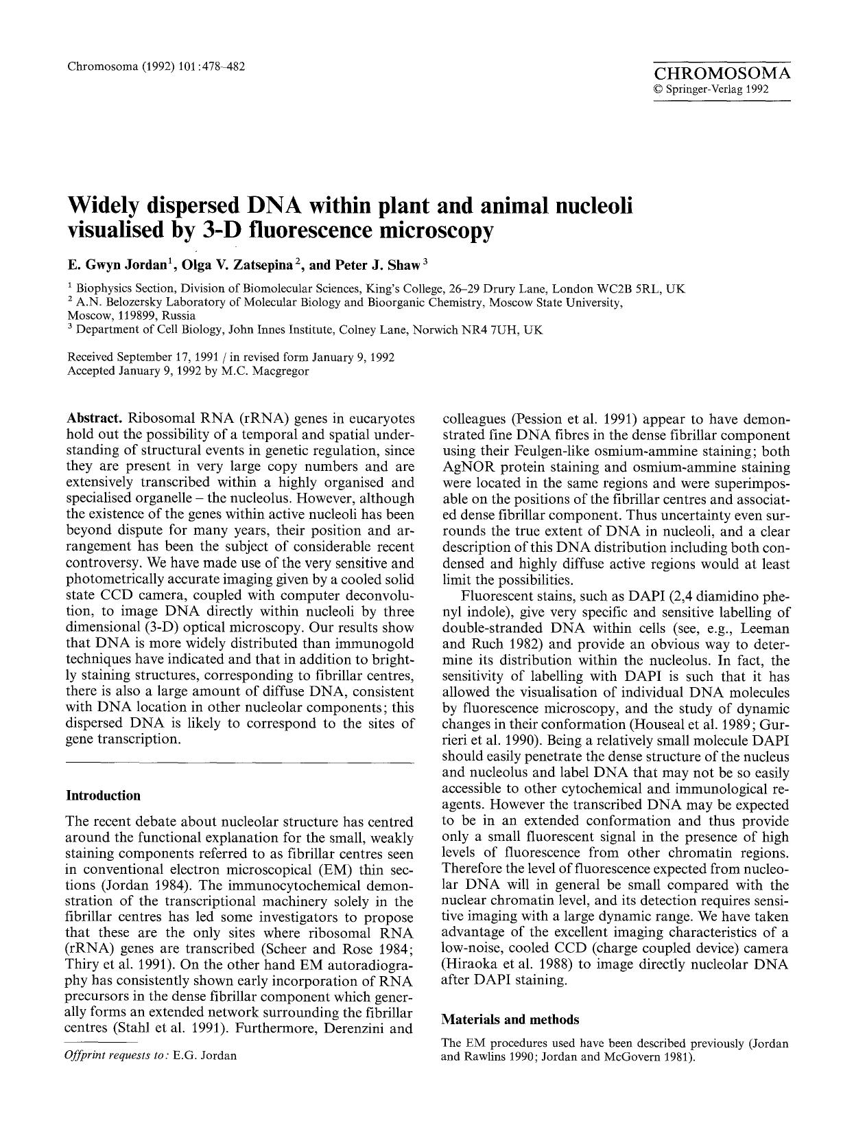 Widely dispersed DNA within plant and animal nucleoli visualised by 3-D fluorescence microscopy by Unknown