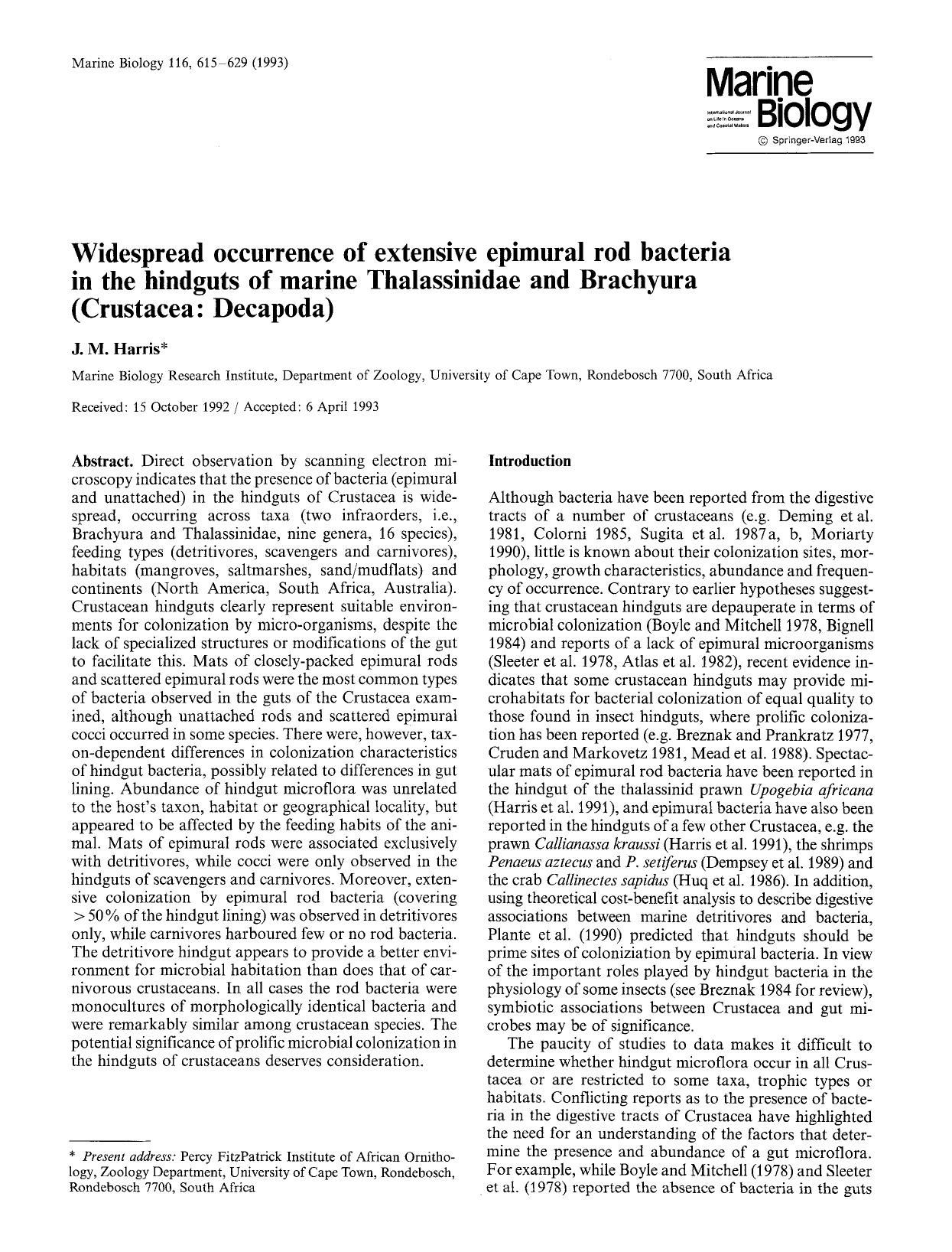 Widespread occurrence of extensive epimural rod bacteria in the hindguts of marine Thalassinidae and Brachyura (Crustacea: Decapoda) by Unknown