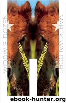 Widow's Dozen by Marek Waldorf