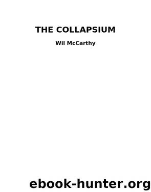 Wil McCarthy by The Collapsium