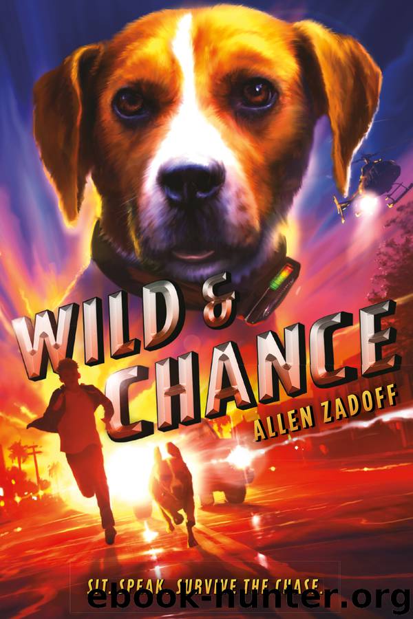 Wild & Chance by Allen Zadoff