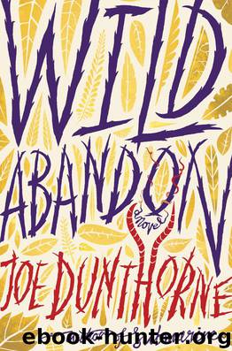 Wild Abandon A Novel by Joe Dunthorne