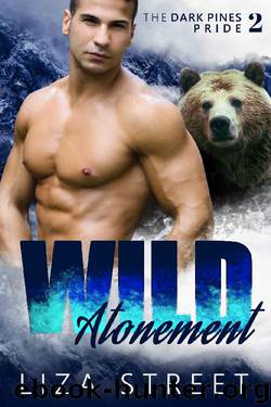 Wild Atonement by Liza Street